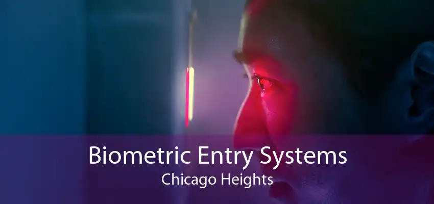 Biometric Entry Systems Chicago Heights